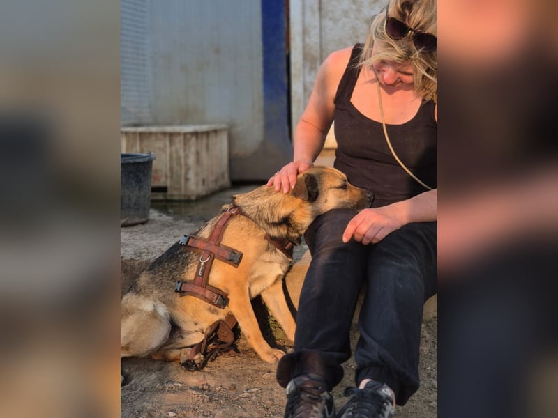 Mia - Schmusebacke ❤️