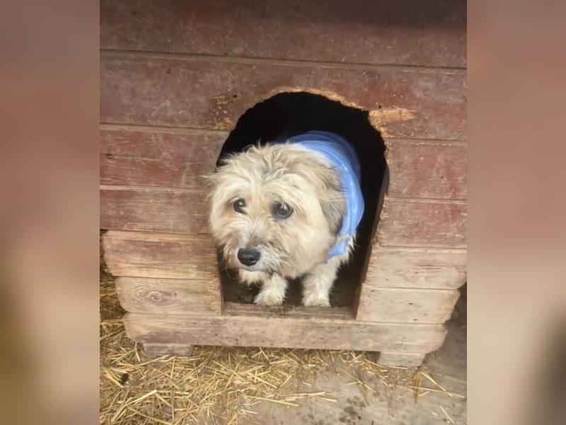 Kymana - einfach lieb!