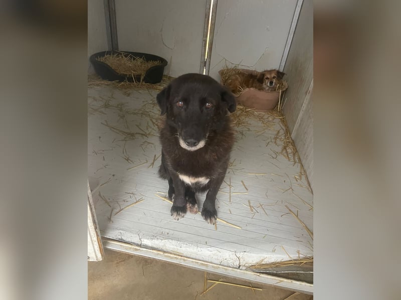 Moustache - perfekt für Familien oder Senioren