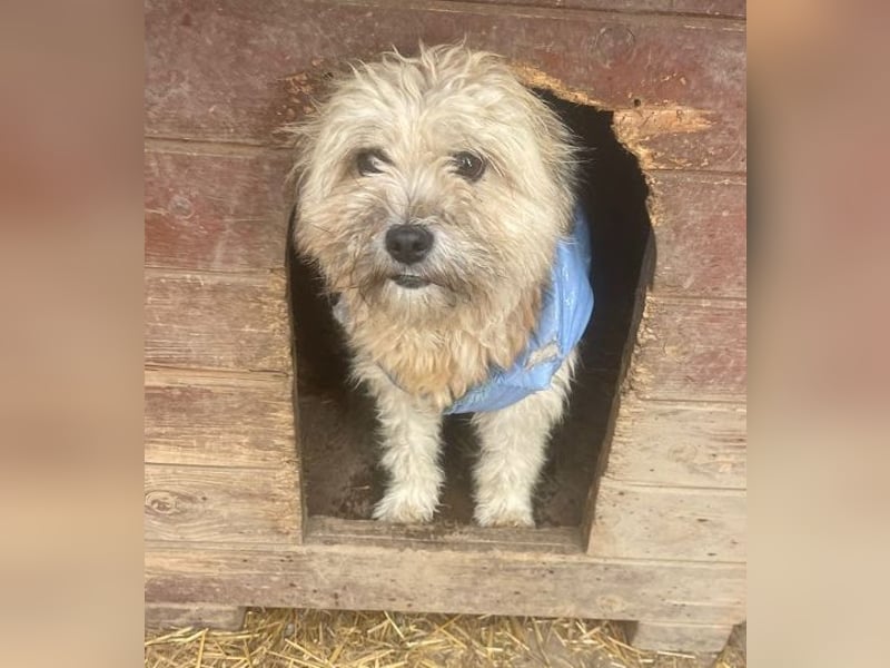 Kymana - einfach lieb!