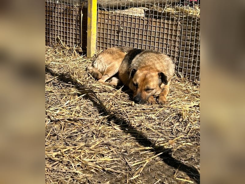 Mia - Schmusebacke ❤️