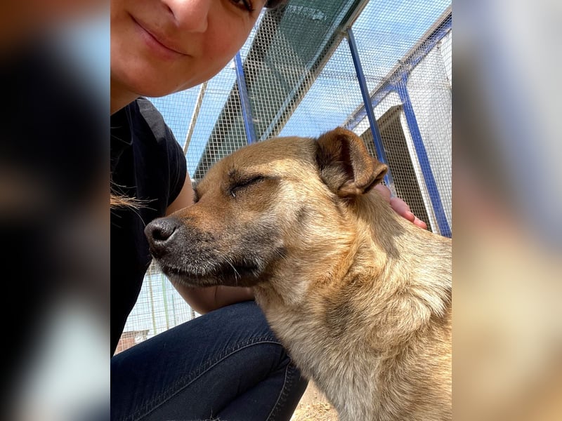 Mia - Schmusebacke ❤️