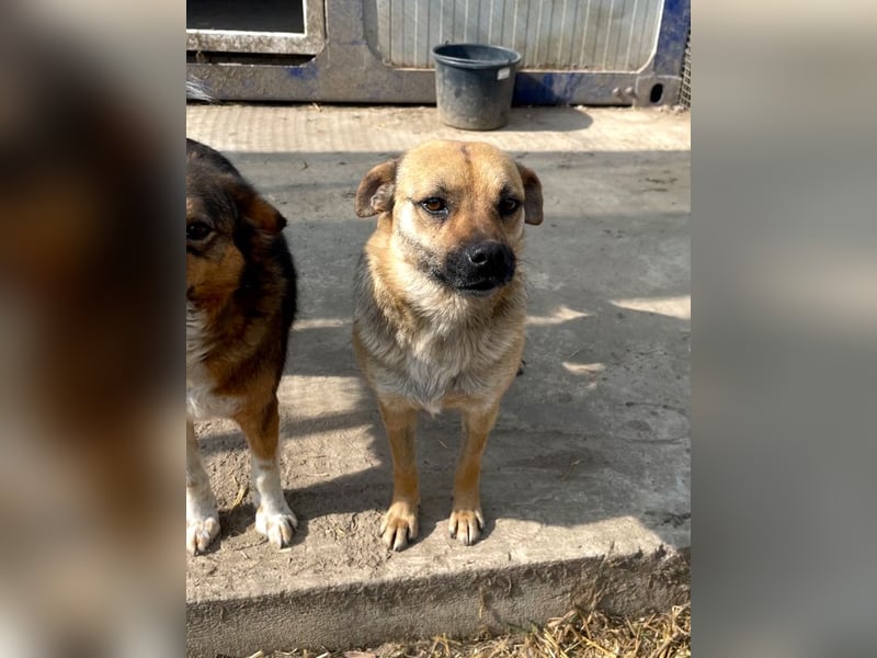 Mia - Schmusebacke ❤️