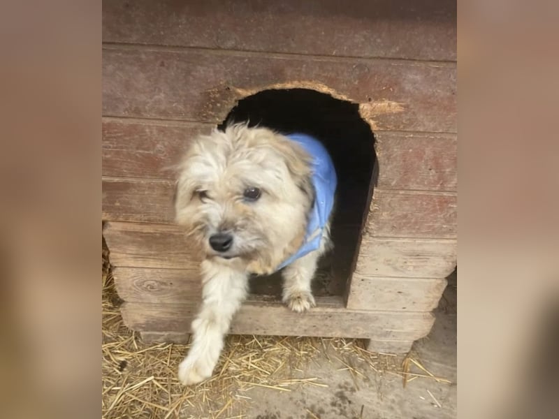 Kymana - einfach lieb!