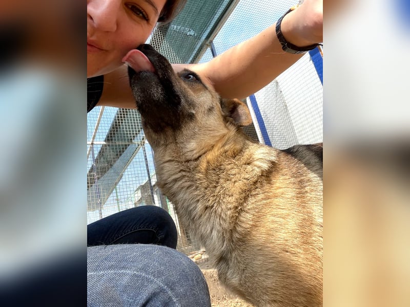 Mia - Schmusebacke ❤️