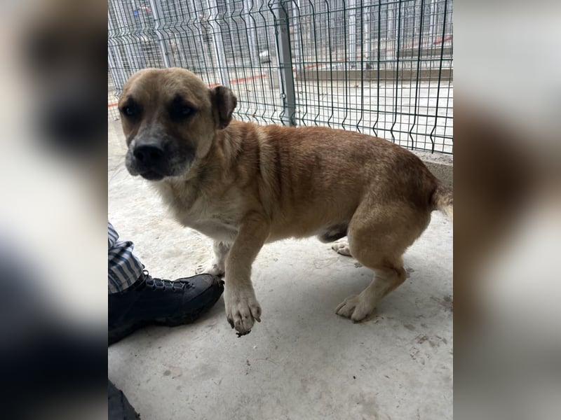 Storm - klein und sanft