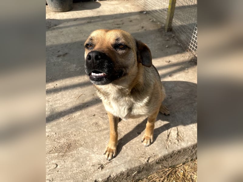 Mia - Schmusebacke ❤️