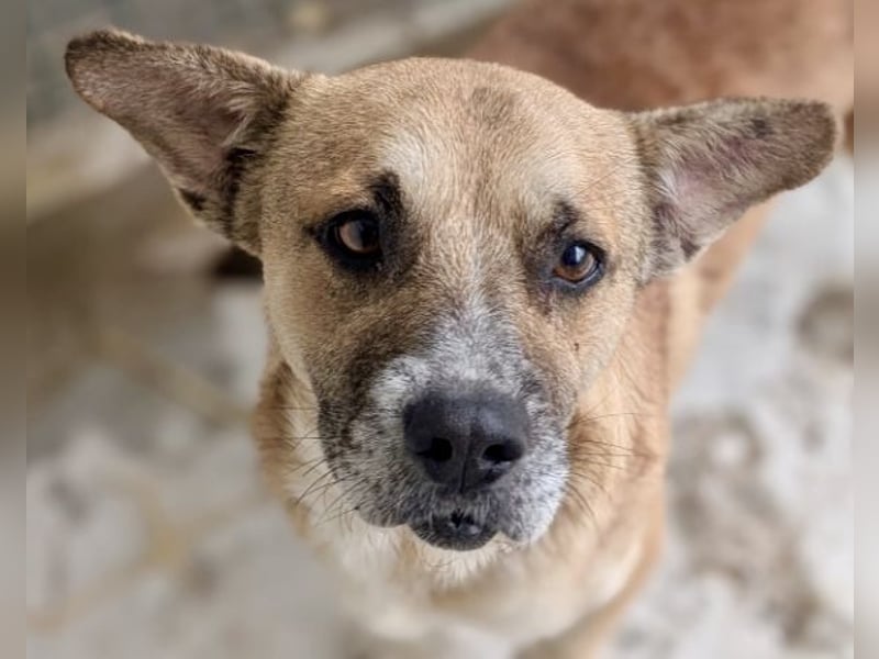 Storm - klein und sanft