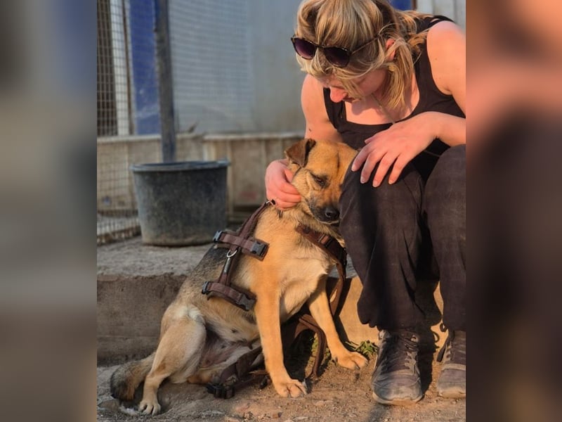 Mia - Schmusebacke ❤️