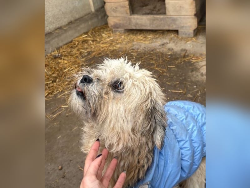 Kymana - einfach lieb!