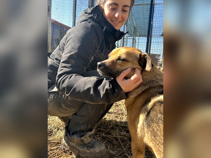 Mia - Schmusebacke ❤️