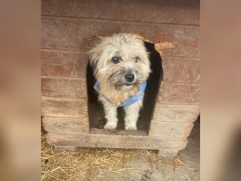 Kymana - einfach lieb!