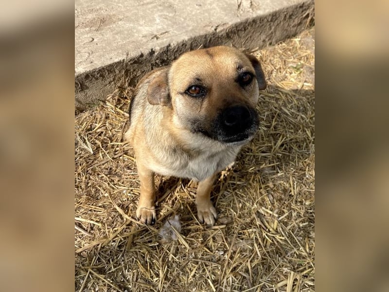 Mia - Schmusebacke ❤️