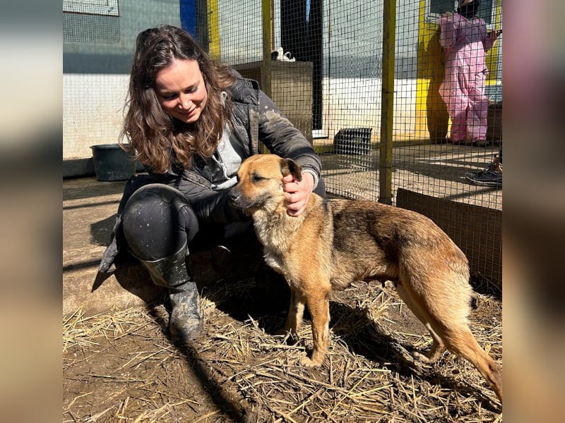 Mia - Schmusebacke ❤️