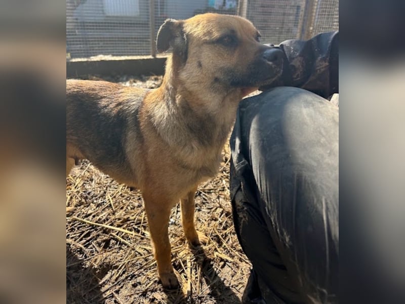 Mia - Schmusebacke ❤️