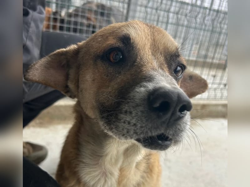 Storm - klein und sanft