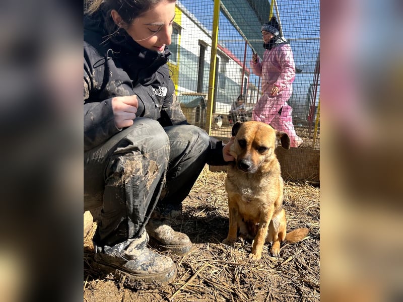 Mia - Schmusebacke ❤️