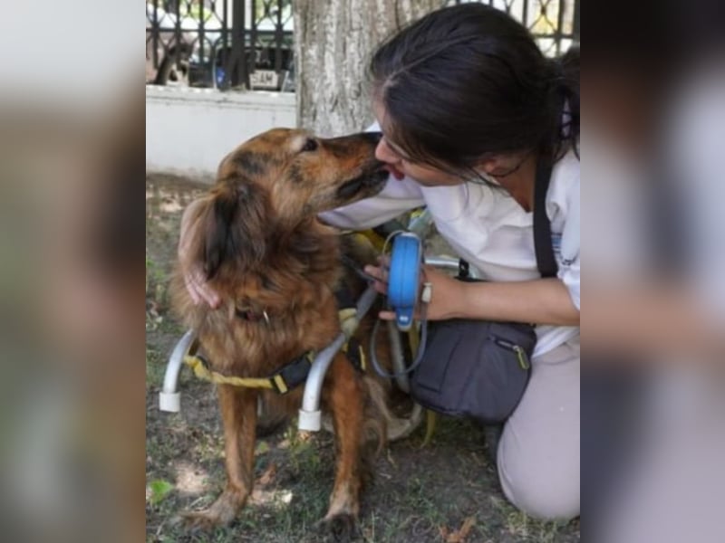 Lola - fröhliches Rollimädchen