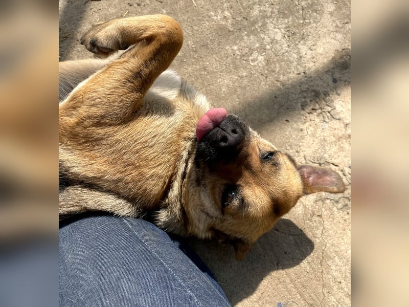 Mia - Schmusebacke ❤️