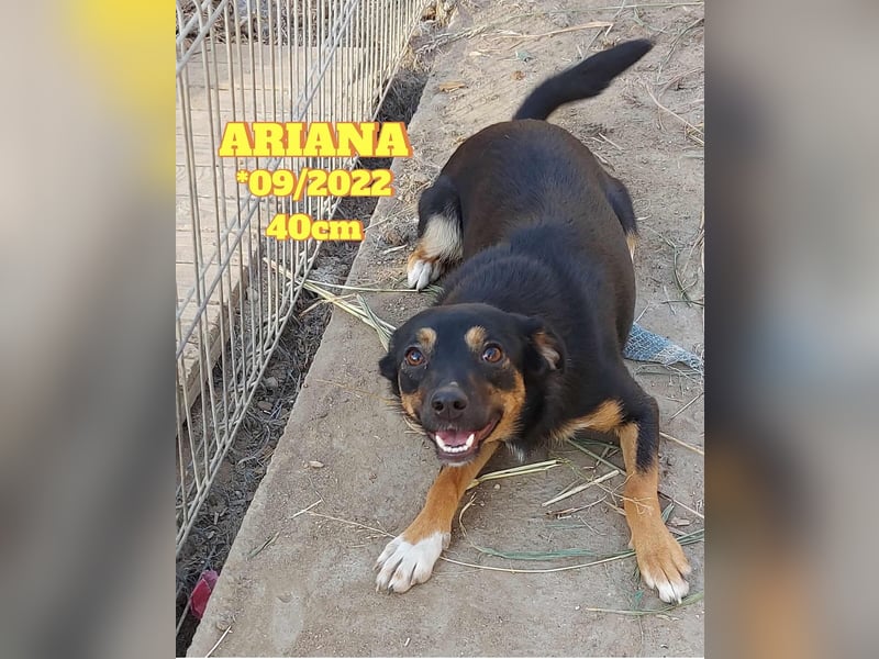 Ariana - kleiner Sonnenschein