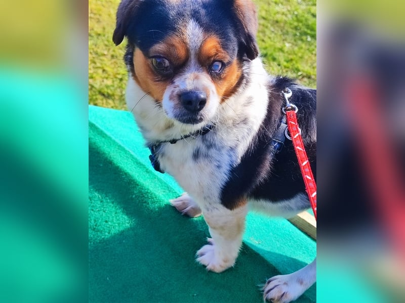 Bianca - Disney lässt grüßen