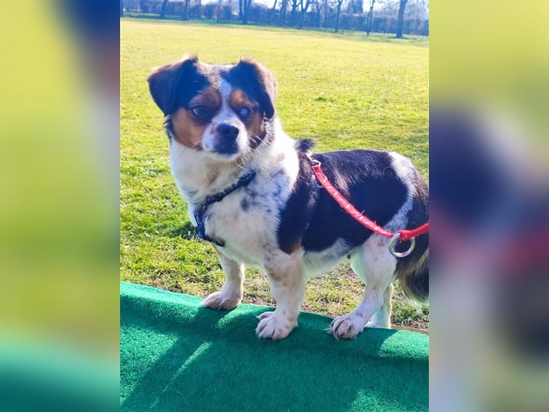 Bianca - Disney lässt grüßen