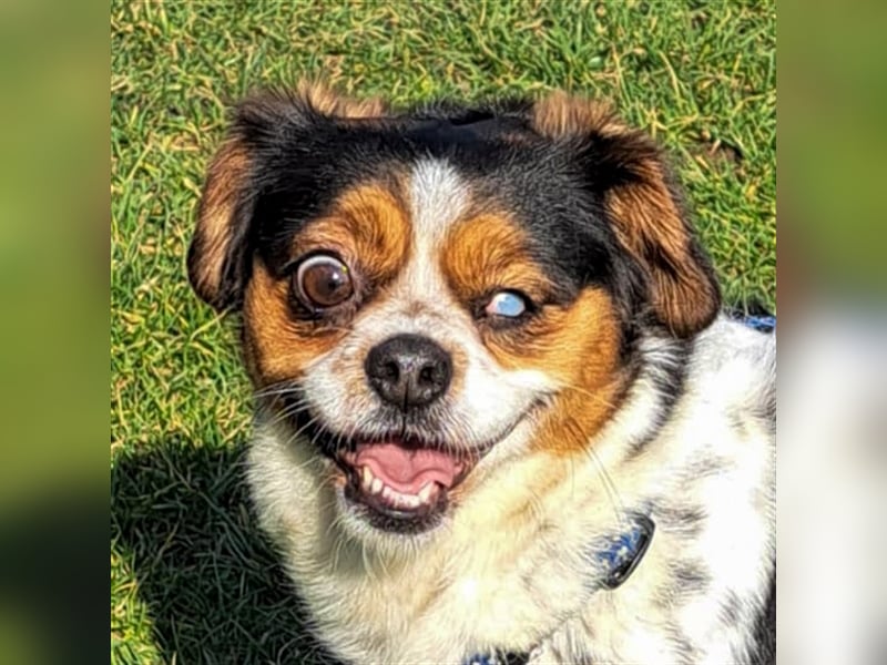 Bianca - Disney lässt grüßen