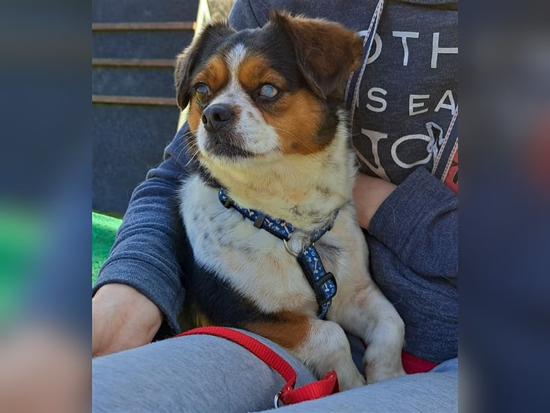 Bianca - Disney lässt grüßen