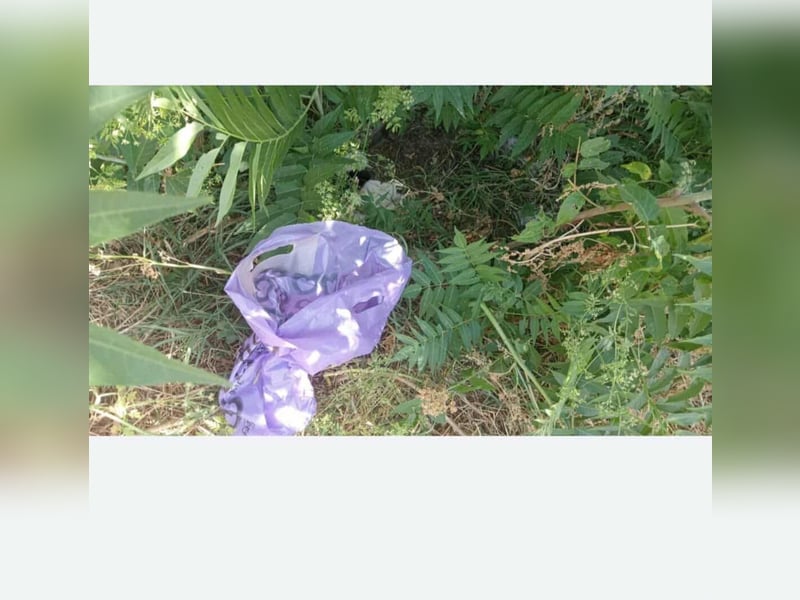 KOKO - Traumzuhause gesucht