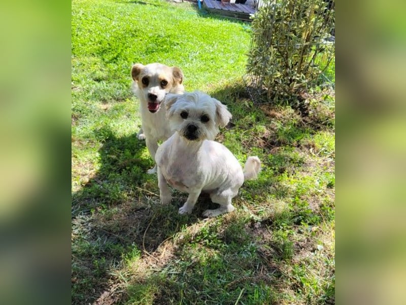 BECKS - tolle Freizeitpartnerin sucht ihr Glück *reserviert*