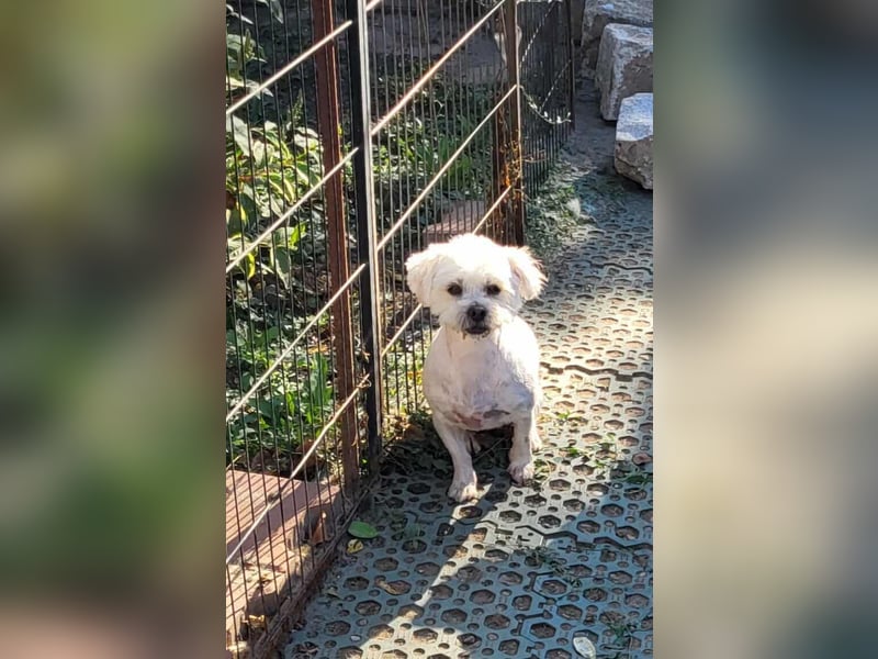BECKS - tolle Freizeitpartnerin sucht ihr Glück *reserviert*