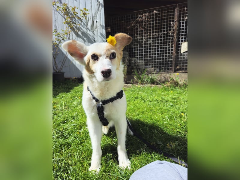 Mia sucht ihr Traumzuhause