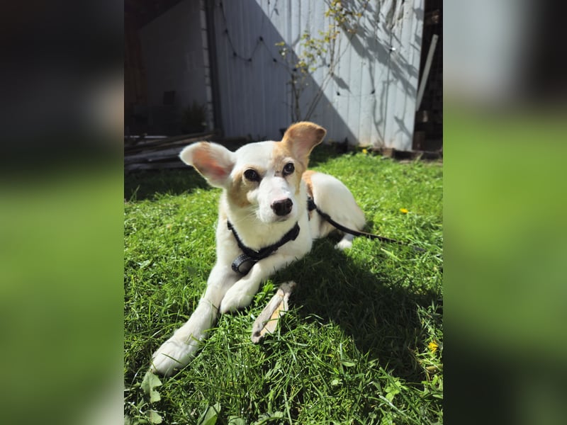 Mia sucht ihr Traumzuhause