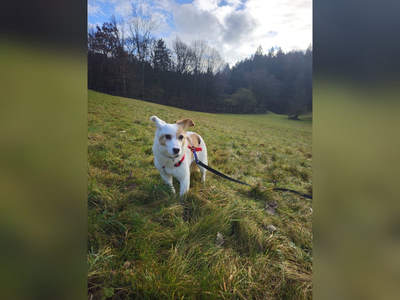 Mia sucht ihr Traumzuhause