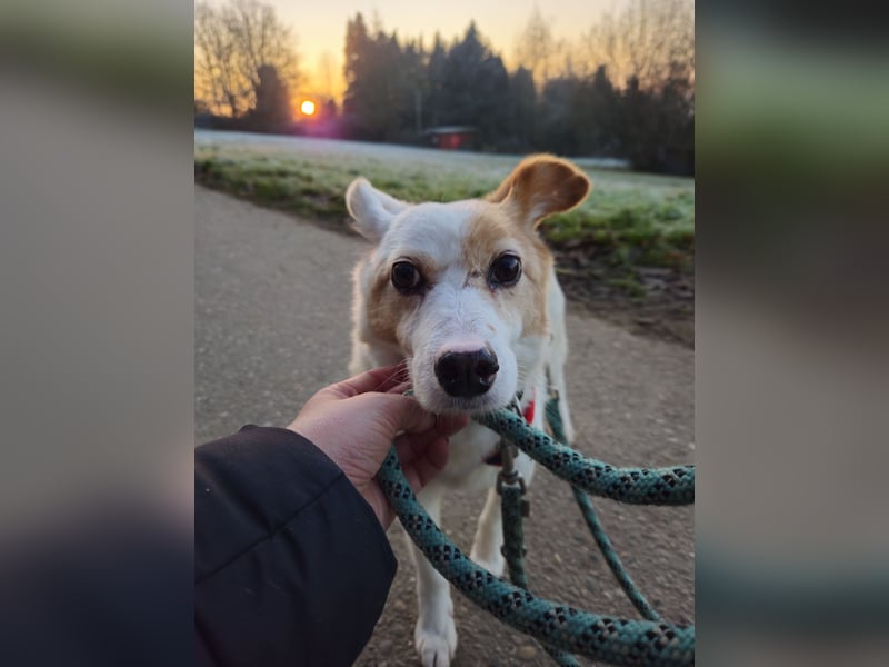 Mia sucht ihr Traumzuhause