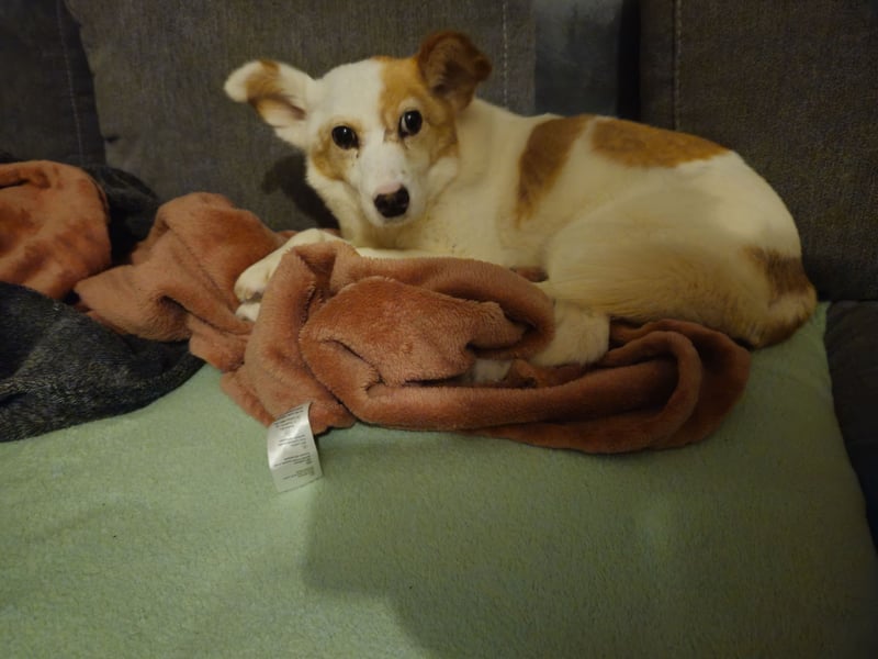 Mia sucht ihr Traumzuhause