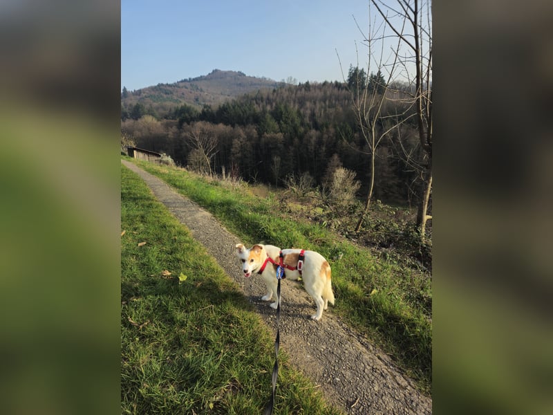 Mia sucht ihr Traumzuhause