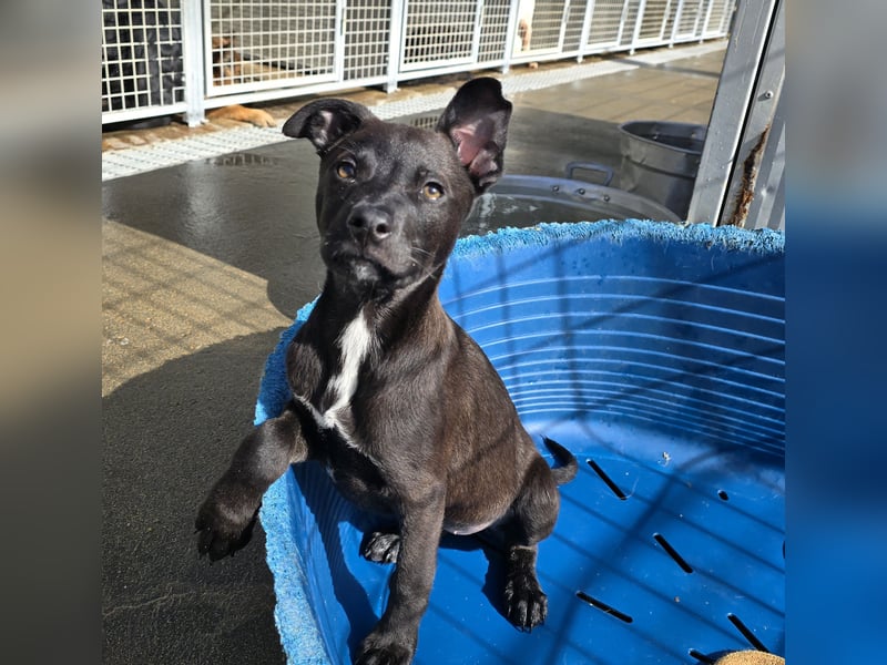 Lalita: spielen, kuscheln, die Welt entdecken