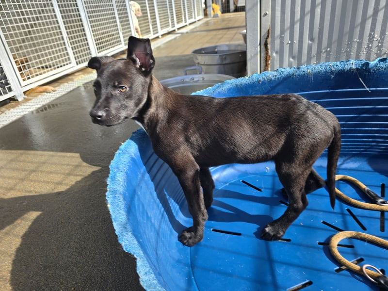 Lalita: spielen, kuscheln, die Welt entdecken