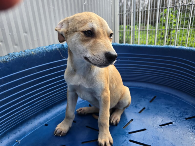 Lennox: wer spielt mit mir?