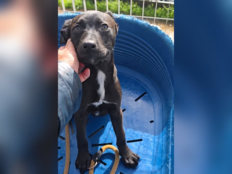 Lalita: spielen, kuscheln, die Welt entdecken