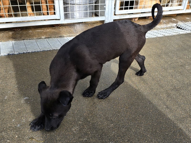 Lalita: spielen, kuscheln, die Welt entdecken