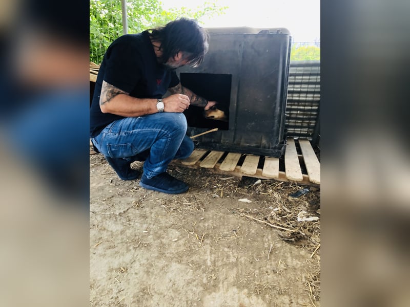 Juna - schüchtern aber liebenswert - sucht ihr Zuhause