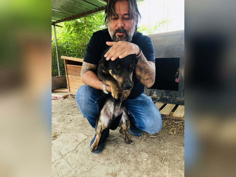 Juna - schüchtern aber liebenswert - sucht ihr Zuhause