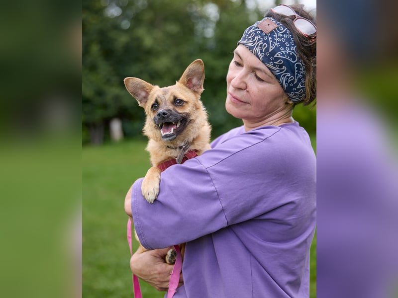 Zarte Eva sucht ein Zuhause voller Liebe und Kuscheleinheiten
