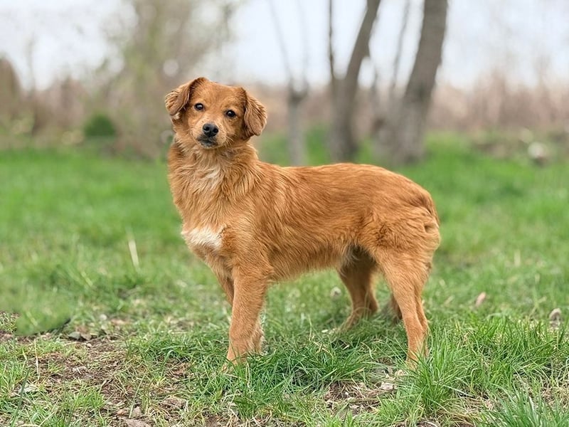 JOHN - ich liebe die Nähe zu Menschen und freue mich auf gemeinsame Abenteuer!