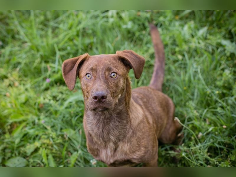 MONTY - der freundliche, fröhliche kleine Mann freut sich auf tolle Abenteuer!