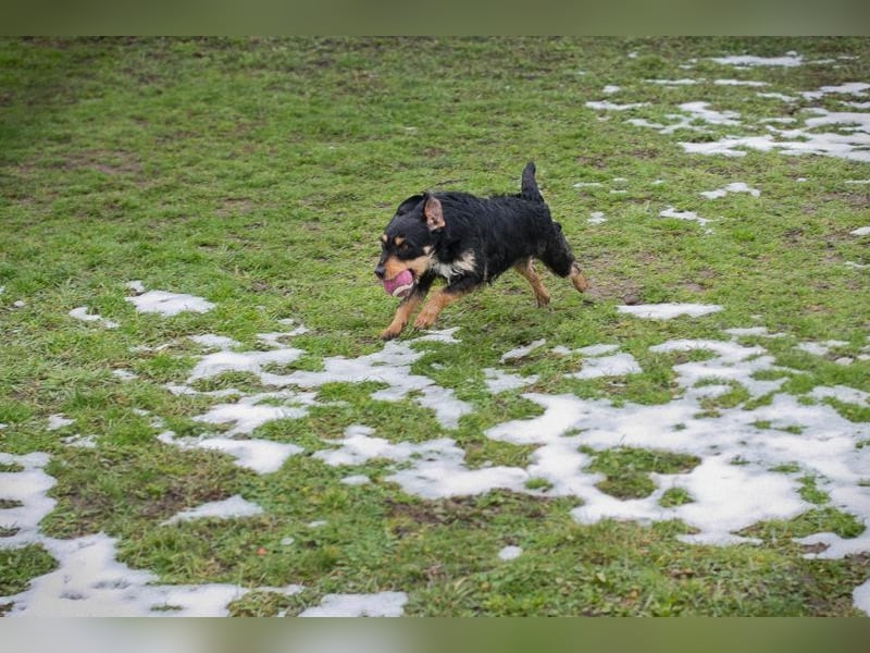 JETTE - schenkst DU mir dein Herz und ein tolles Zuhause?
