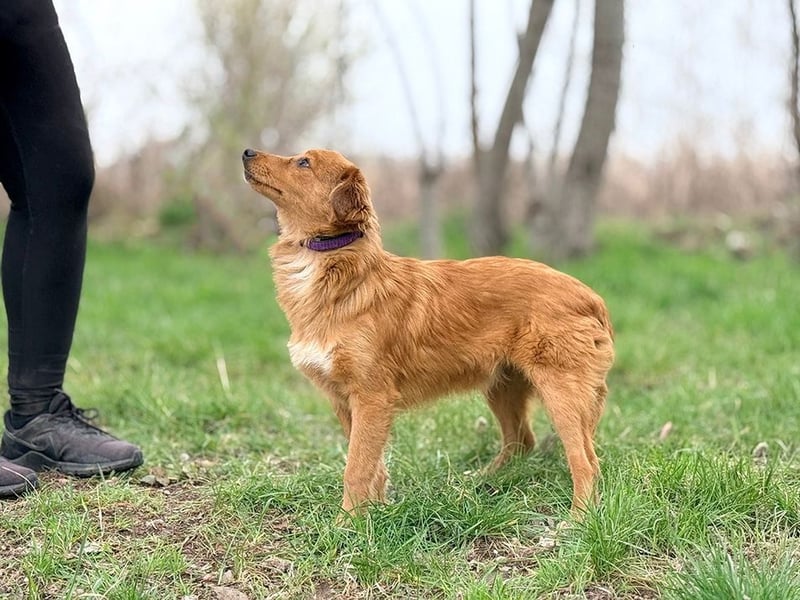 JOHN - ich liebe die Nähe zu Menschen und freue mich auf gemeinsame Abenteuer!