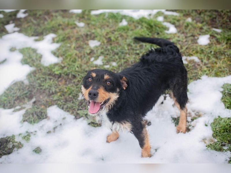 JETTE - schenkst DU mir dein Herz und ein tolles Zuhause?